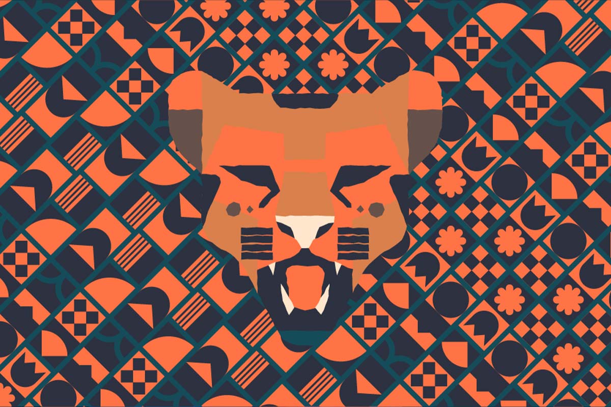 emface radiofrequenz